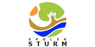 website template image